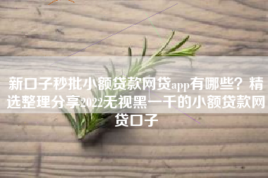 新口子秒批小额贷款网贷app有哪些？精选整理分享2022无视黑一千的小额贷款网贷口子