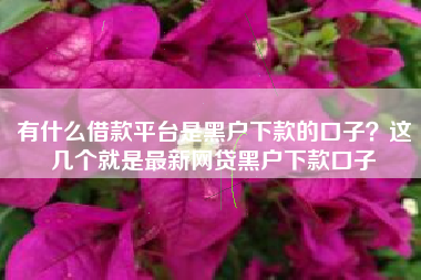 有什么借款平台是黑户下款的口子？这几个就是最新网贷黑户下款口子
