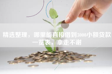 精选整理，哪里能直接借到3000小额贷款一览表，拿走不谢