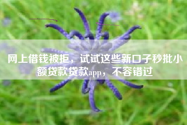 网上借钱被拒，试试这些新口子秒批小额贷款贷款app，不容错过