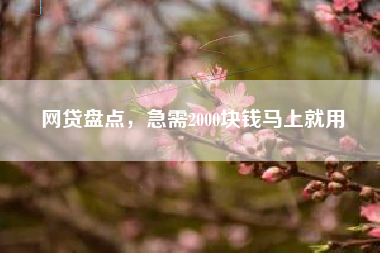 网贷盘点，急需2000块钱马上就用