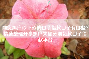 网贷黑户秒下款的口子借款口子有哪些？精选整理分享黑户大额分期贷款口子借款平台