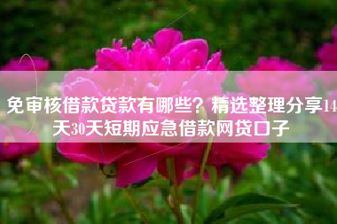 免审核借款贷款有哪些？精选整理分享14天30天短期应急借款网贷口子