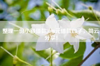 整理一份小额借款3000元借款口子，简云分享！
