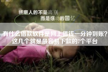 有什么借款软件是网上借钱一分钟到账？这几个就是最容易下款的7个平台