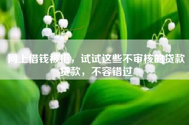 网上借钱被拒，试试这些不审核的贷款贷款，不容错过