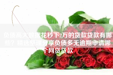 负债高大数据花秒下2万的贷款贷款有哪些？精选整理分享负债多无逾期申请哪个网贷贷款