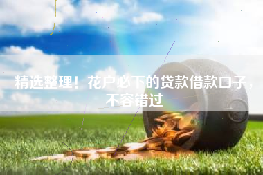 精选整理！花户必下的贷款借款口子，不容错过
