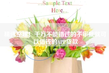 精选整理！千万不能错过的不审批就可以借钱的APP贷款