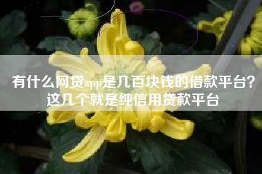 有什么网贷app是几百块钱的借款平台？这几个就是纯信用贷款平台