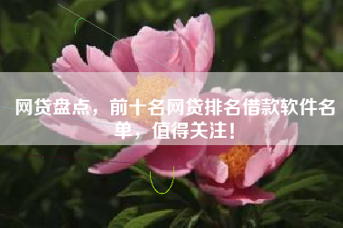网贷盘点，前十名网贷排名借款软件名单，值得关注！