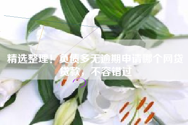 精选整理！负债多无逾期申请哪个网贷贷款，不容错过