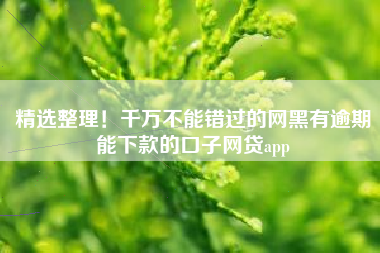 精选整理！千万不能错过的网黑有逾期能下款的口子网贷app