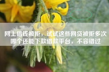 网上借钱被拒，试试这些网贷被拒多次哪个还能下款借款平台，不容错过