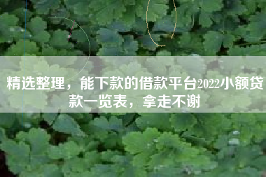 精选整理，能下款的借款平台2022小额贷款一览表，拿走不谢