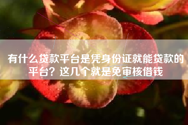 有什么贷款平台是凭身份证就能贷款的平台？这几个就是免审核借钱