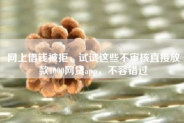 网上借钱被拒，试试这些不审核直接放款1000网贷app，不容错过