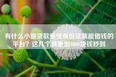 有什么小额贷款是凭身份证就能借钱的平台？这几个就是借3000块钱秒到