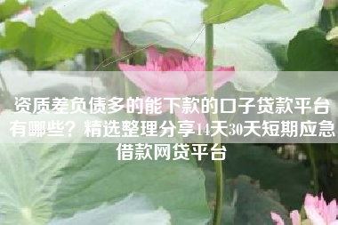 资质差负债多的能下款的口子贷款平台有哪些？精选整理分享14天30天短期应急借款网贷平台