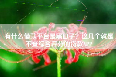 有什么借款平台是黑口子？这几个就是不查综合评分的贷款APP