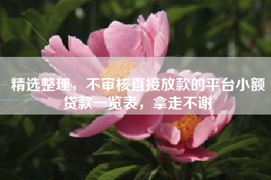 精选整理，不审核直接放款的平台小额贷款一览表，拿走不谢