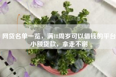 网贷名单一览，满18周岁可以借钱的平台小额贷款，拿走不谢