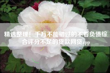 精选整理！千万不能错过的不看负债综合评分不足的贷款网贷app
