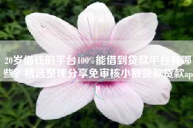 20岁借钱的平台100%能借到贷款平台有哪些？精选整理分享免审核小额贷款贷款app