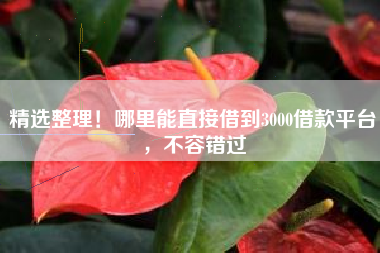 精选整理！哪里能直接借到3000借款平台，不容错过