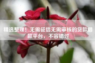 精选整理！无需征信无需审核的贷款借款平台，不容错过