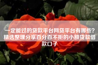 一定能过的贷款平台网贷平台有哪些？精选整理分享百分百不拒的小额贷款借款口子