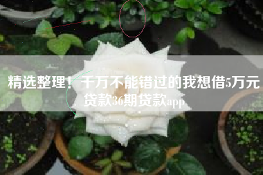 精选整理！千万不能错过的我想借5万元贷款36期贷款app