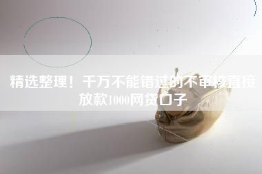精选整理！千万不能错过的不审核直接放款1000网贷口子