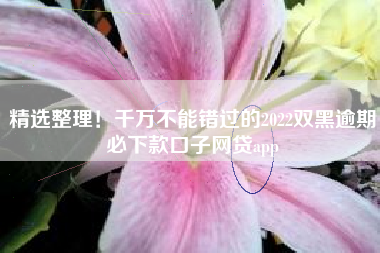 精选整理！千万不能错过的2022双黑逾期必下款口子网贷app