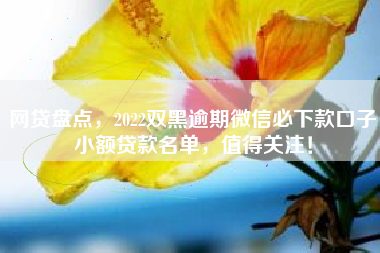 网贷盘点，2022双黑逾期微信必下款口子小额贷款名单，值得关注！