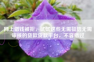 网上借钱被拒，试试这些无需征信无需审核的贷款贷款平台，不容错过