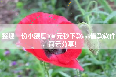 整理一份小额度1000元秒下款app借款软件，简云分享！