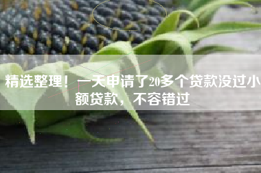 精选整理！一天申请了20多个贷款没过小额贷款，不容错过