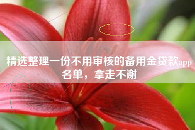 精选整理一份不用审核的备用金贷款app名单，拿走不谢