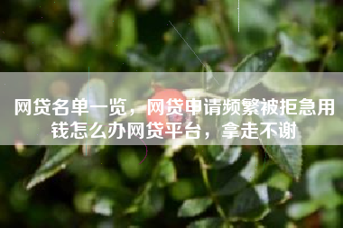 网贷名单一览，网贷申请频繁被拒急用钱怎么办网贷平台，拿走不谢