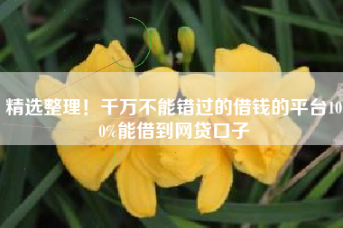 精选整理！千万不能错过的借钱的平台100%能借到网贷口子