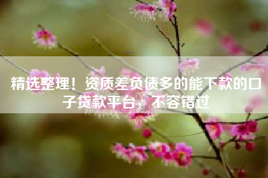 精选整理！资质差负债多的能下款的口子贷款平台，不容错过