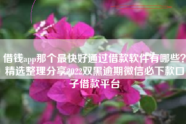 借钱app那个最快好通过借款软件有哪些？精选整理分享2022双黑逾期微信必下款口子借款平台