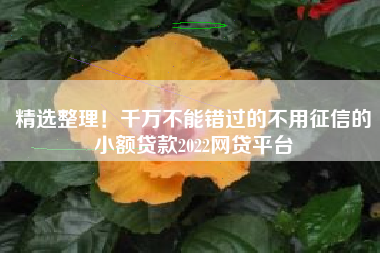 精选整理！千万不能错过的不用征信的小额贷款2022网贷平台