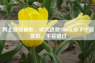 网上借钱被拒，试试这些1000元必下小贷贷款，不容错过