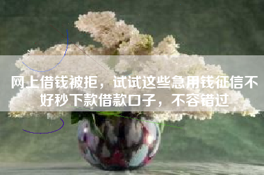 网上借钱被拒，试试这些急用钱征信不好秒下款借款口子，不容错过