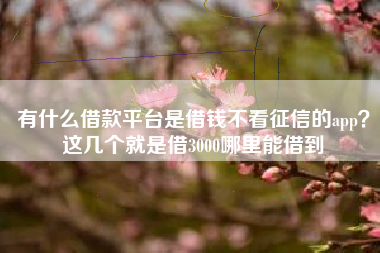 有什么借款平台是借钱不看征信的app？这几个就是借3000哪里能借到