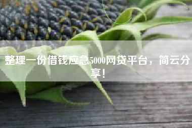 整理一份借钱应急5000网贷平台，简云分享！