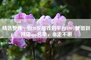 精选整理一份20岁借钱的平台100%能借到网贷app名单，拿走不谢