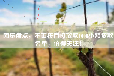 网贷盘点，不审核直接放款1000小额贷款名单，值得关注！